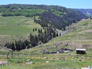 Filename=DSCN2676.JPG
Filesize=7115KiB
Dimensions=4608x3456
Date added=Jun 22, 2023 DSCN2676.JPG