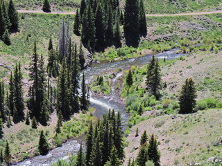 Filename=DSCN2704.JPG
Filesize=7381KiB
Dimensions=4608x3456
Date added=Jun 22, 2023 DSCN2704.JPG