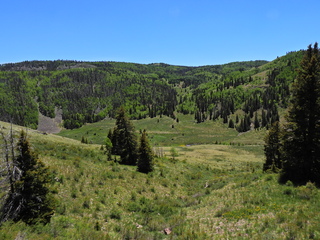 Filename=DSCN2710.JPG
Filesize=7061KiB
Dimensions=4608x3456
Date added=Jun 22, 2023 DSCN2710.JPG