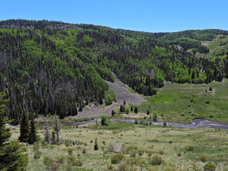 Filename=DSCN2714.JPG
Filesize=7056KiB
Dimensions=4608x3456
Date added=Jun 22, 2023 DSCN2714.JPG