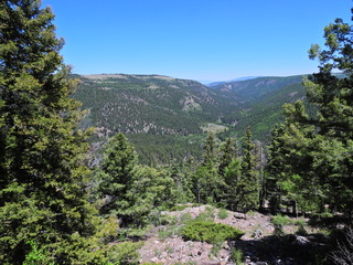 Filename=DSCN2731.JPG
Filesize=7298KiB
Dimensions=4608x3456
Date added=Jun 22, 2023 DSCN2731.JPG