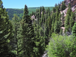 Filename=DSCN2735.JPG
Filesize=7539KiB
Dimensions=4608x3456
Date added=Jun 22, 2023 DSCN2735.JPG