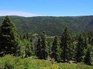 Filename=DSCN2737.JPG
Filesize=6705KiB
Dimensions=4608x3456
Date added=Jun 22, 2023 DSCN2737.JPG