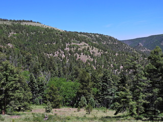 Filename=DSCN2739.JPG
Filesize=7028KiB
Dimensions=4608x3456
Date added=Jun 22, 2023 DSCN2739.JPG