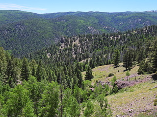 Filename=DSCN2742.JPG
Filesize=7127KiB
Dimensions=4608x3456
Date added=Jun 22, 2023 DSCN2742.JPG