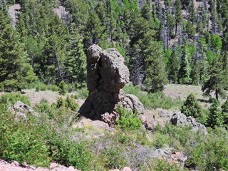 Filename=DSCN2747.JPG
Filesize=7485KiB
Dimensions=4608x3456
Date added=Jun 22, 2023 DSCN2747.JPG