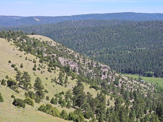 Filename=DSCN2764.JPG
Filesize=6909KiB
Dimensions=4608x3456
Date added=Jun 22, 2023 DSCN2764.JPG