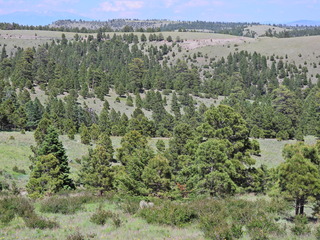 Filename=DSCN2769.JPG
Filesize=7052KiB
Dimensions=4608x3456
Date added=Jun 22, 2023 DSCN2769.JPG