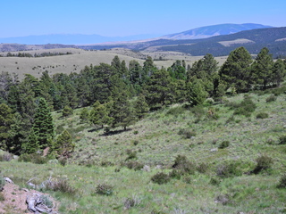 Filename=DSCN2772.JPG
Filesize=6993KiB
Dimensions=4608x3456
Date added=Jun 22, 2023 DSCN2772.JPG