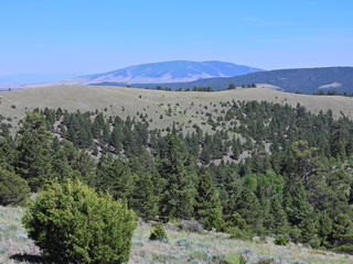 Filename=DSCN2774.JPG
Filesize=6793KiB
Dimensions=4608x3456
Date added=Jun 22, 2023 DSCN2774.JPG