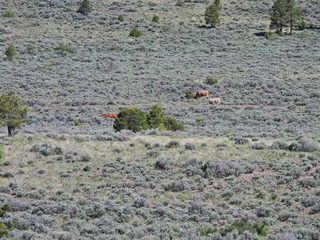 Filename=DSCN2777.JPG
Filesize=7474KiB
Dimensions=4608x3456
Date added=Jun 22, 2023 DSCN2777.JPG