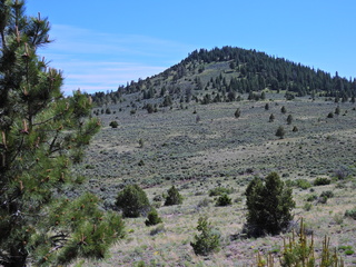 Filename=DSCN2779.JPG
Filesize=7143KiB
Dimensions=4608x3456
Date added=Jun 22, 2023 DSCN2779.JPG