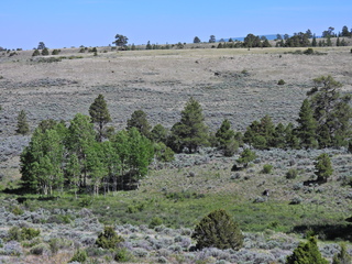 Filename=DSCN2780.JPG
Filesize=6988KiB
Dimensions=4608x3456
Date added=Jun 22, 2023 DSCN2780.JPG