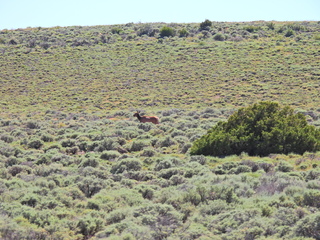 Filename=DSCN2794.JPG
Filesize=7392KiB
Dimensions=4608x3456
Date added=Jun 22, 2023 DSCN2794.JPG