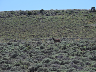 Filename=DSCN2795.JPG
Filesize=7482KiB
Dimensions=4608x3456
Date added=Jun 22, 2023 DSCN2795.JPG