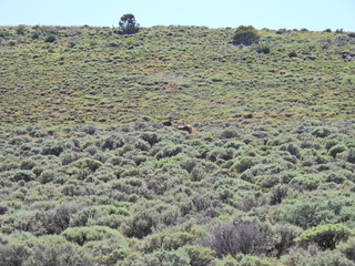 Filename=DSCN2797.JPG
Filesize=7291KiB
Dimensions=4608x3456
Date added=Jun 22, 2023 DSCN2797.JPG