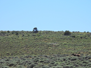 Filename=DSCN2798.JPG
Filesize=6803KiB
Dimensions=4608x3456
Date added=Jun 22, 2023 DSCN2798.JPG