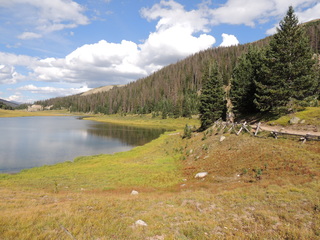 Filename=DSCN6361.JPG
Filesize=5426KiB
Dimensions=4608x3456
Date added=Sep 19, 2019 DSCN6361.JPG