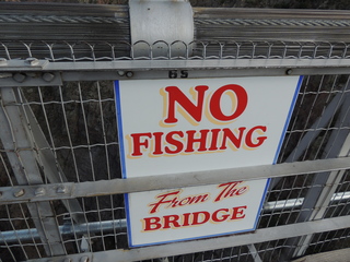 Filename=DSCN6394.JPG
Filesize=5375KiB
Dimensions=4608x3456
Date added=Sep 19, 2019 DSCN6394.JPG