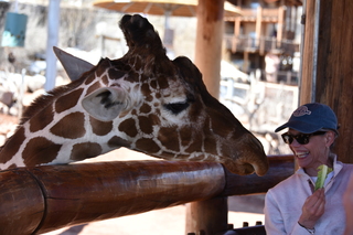 Filename=DSC_1232~1.JPG
Filesize=15733KiB
Dimensions=7360x4912
Date added=Mar 18, 2020 DSC_1232~1.JPG