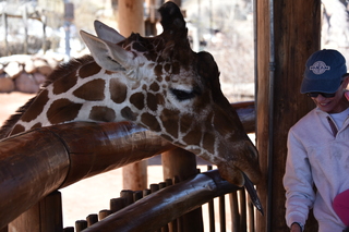 Filename=DSC_1234~0.JPG
Filesize=16057KiB
Dimensions=7360x4912
Date added=Mar 18, 2020 DSC_1234~0.JPG