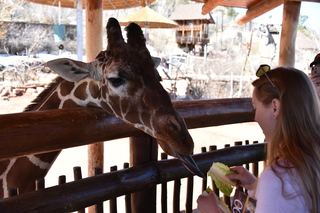 Filename=DSC_1235~0.JPG
Filesize=15202KiB
Dimensions=7360x4912
Date added=Mar 18, 2020 DSC_1235~0.JPG