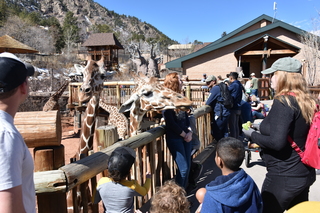 Filename=DSC_1245~0.JPG
Filesize=20497KiB
Dimensions=7360x4912
Date added=Mar 18, 2020 DSC_1245~0.JPG