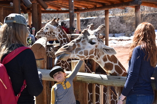 Filename=DSC_1246~0.JPG
Filesize=18291KiB
Dimensions=7360x4912
Date added=Mar 18, 2020 DSC_1246~0.JPG