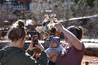 Filename=DSC_1248~0.JPG
Filesize=16767KiB
Dimensions=7360x4912
Date added=Mar 18, 2020 DSC_1248~0.JPG