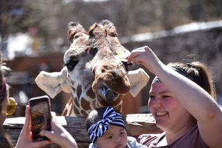 Filename=DSC_1249.JPG
Filesize=16089KiB
Dimensions=7360x4912
Date added=Mar 18, 2020 DSC_1249.JPG