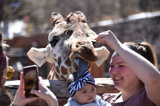 Filename=DSC_1250.JPG
Filesize=16394KiB
Dimensions=7360x4912
Date added=Mar 18, 2020 DSC_1250.JPG