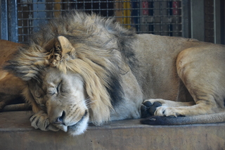 Filename=DSC_1278.JPG
Filesize=18809KiB
Dimensions=7360x4912
Date added=Mar 18, 2020 DSC_1278.JPG