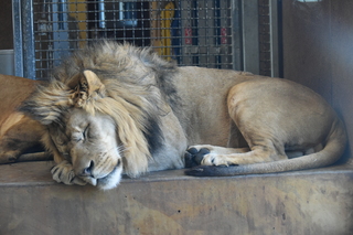 Filename=DSC_1279.JPG
Filesize=18673KiB
Dimensions=7360x4912
Date added=Mar 18, 2020 DSC_1279.JPG