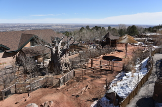 Filename=DSC_1284.JPG
Filesize=23792KiB
Dimensions=7360x4912
Date added=Mar 18, 2020 DSC_1284.JPG