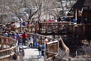 Filename=DSC_1285.JPG
Filesize=22580KiB
Dimensions=7360x4912
Date added=Mar 18, 2020 DSC_1285.JPG