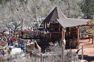 Filename=DSC_1286.JPG
Filesize=26911KiB
Dimensions=7360x4912
Date added=Mar 18, 2020 DSC_1286.JPG