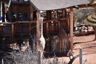 Filename=DSC_1287.JPG
Filesize=20956KiB
Dimensions=7360x4912
Date added=Mar 18, 2020 DSC_1287.JPG