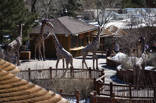 Filename=DSC_1288.JPG
Filesize=21691KiB
Dimensions=7360x4912
Date added=Mar 18, 2020 DSC_1288.JPG