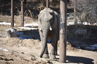 Filename=DSC_1289.JPG
Filesize=20985KiB
Dimensions=7360x4912
Date added=Mar 18, 2020 DSC_1289.JPG