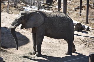 Filename=DSC_1295.JPG
Filesize=23274KiB
Dimensions=7360x4912
Date added=Mar 18, 2020 DSC_1295.JPG