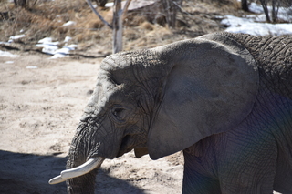 Filename=DSC_1296.JPG
Filesize=18373KiB
Dimensions=7360x4912
Date added=Mar 18, 2020 DSC_1296.JPG