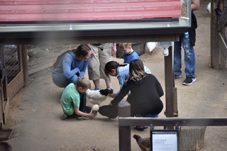 Filename=DSC_1317.JPG
Filesize=16948KiB
Dimensions=7360x4912
Date added=Mar 18, 2020 DSC_1317.JPG