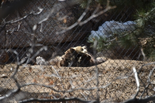 Filename=DSC_1320.JPG
Filesize=20107KiB
Dimensions=7360x4912
Date added=Mar 18, 2020 DSC_1320.JPG