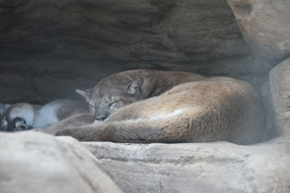 Filename=DSC_1328.JPG
Filesize=15252KiB
Dimensions=7360x4912
Date added=Mar 18, 2020 DSC_1328.JPG