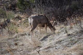 Filename=DSC_1364.JPG
Filesize=22569KiB
Dimensions=7360x4912
Date added=Mar 18, 2020 DSC_1364.JPG