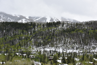 Filename=DSC_4842.JPG
Filesize=22845KiB
Dimensions=7360x4912
Date added=Sep 19, 2019 DSC_4842.JPG