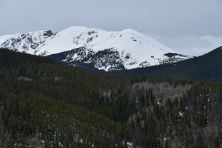 Filename=DSC_4914.JPG
Filesize=19817KiB
Dimensions=7360x4912
Date added=Sep 19, 2019 DSC_4914.JPG