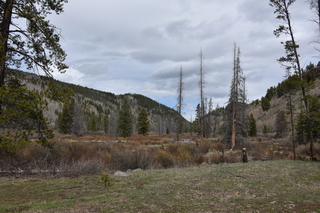 Filename=DSC_4936.JPG
Filesize=21854KiB
Dimensions=7360x4912
Date added=Sep 19, 2019 DSC_4936.JPG