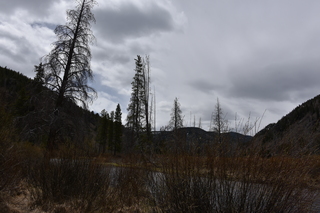 Filename=DSC_4940.JPG
Filesize=20306KiB
Dimensions=7360x4912
Date added=Sep 19, 2019 DSC_4940.JPG