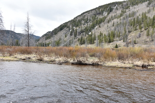 Filename=DSC_4941.JPG
Filesize=24507KiB
Dimensions=7360x4912
Date added=Sep 19, 2019 DSC_4941.JPG